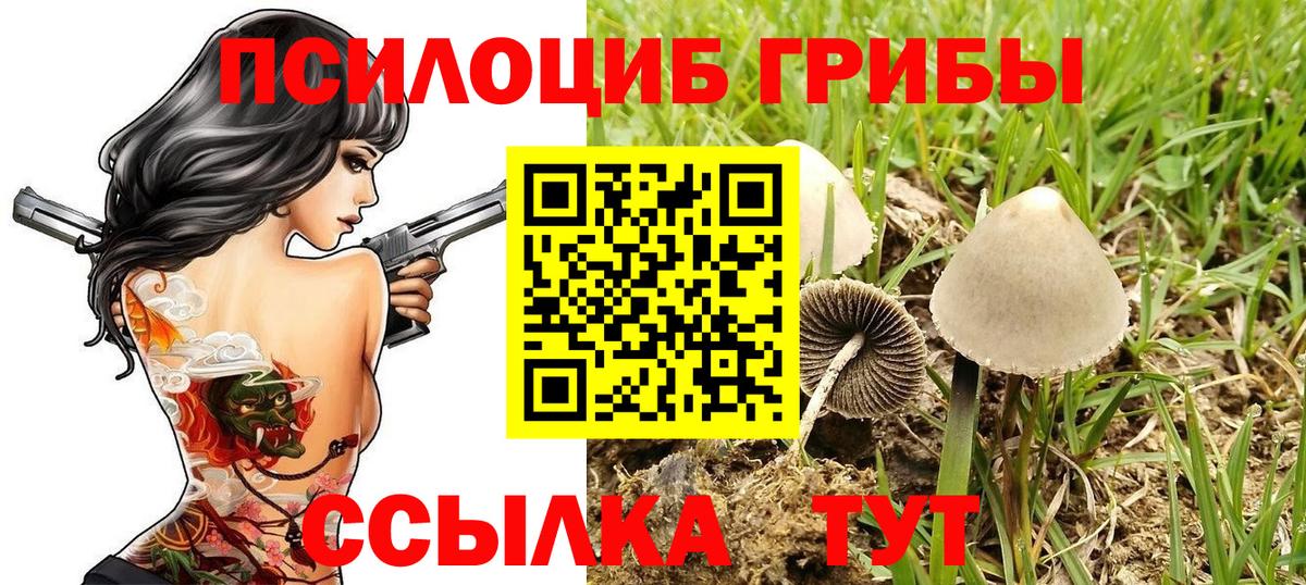 Псилоцибиновые грибы Psilocybe  Псилоцибиновые грибы Cubensis  Вход с VPN  Чистополь 