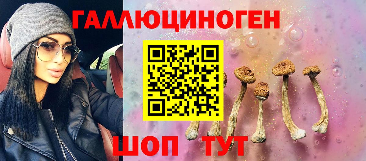 Галлюциногенные грибы прущие грибы Чистополь